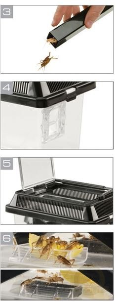 EXO TERRA Cricket Pen S Terrarium na karmówkę (18x14x11cm) EXO TERRA Cricket Pen S Terrarium na karmówkę (18x14x11cm)