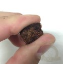 Komodo Coconut Terrain - podłoże kokosowe 6l