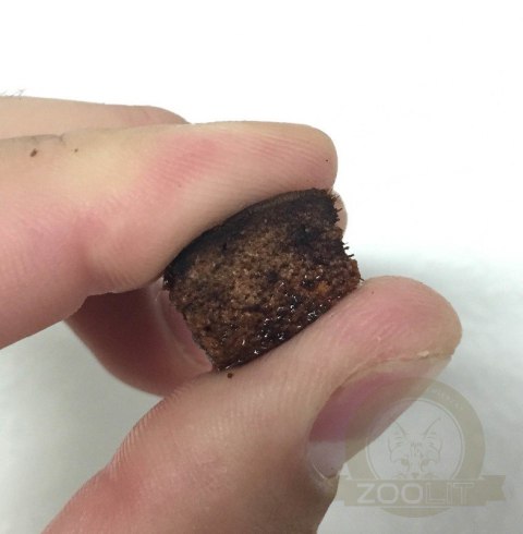 Komodo Coconut Terrain - podłoże kokosowe 6l Komodo Coconut Terrain - podłoże kokosowe 6l