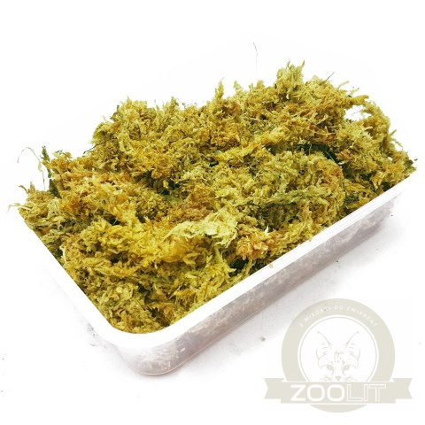 Repti-Zoo Chile's Sphagnum moss - mech torowiec 4,5l Repti-Zoo Chile's Sphagnum moss - mech torowiec 4,5l