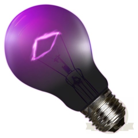 Repti-Zoo Night Heat Bulb 35W - żarówka grzewcza nocna Repti-Zoo Night Heat Bulb 35W - żarówka grzewcza nocna