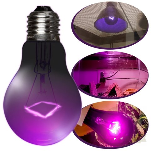 Repti-Zoo Night Heat Bulb 35W - żarówka grzewcza nocna Repti-Zoo Night Heat Bulb 35W - żarówka grzewcza nocna