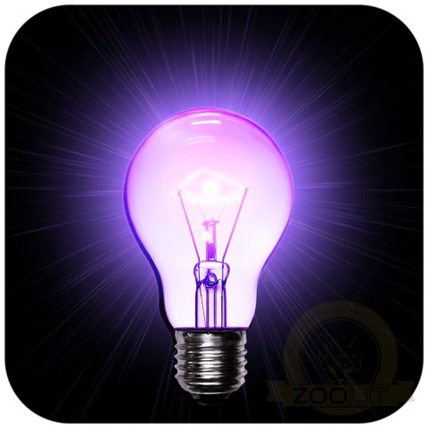 Repti-Zoo Night Heat Bulb 50W - żarówka grzewcza nocna Repti-Zoo Night Heat Bulb 50W - żarówka grzewcza nocna