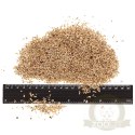 Terrario Endau Park Soil Small 5l - wermikulit drobny