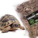 Terrario Eversong Fibre Classic 5l - włókno słomy konopnej