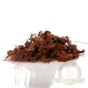 Terrario Madidi Rainforest 5l 500g - drobne zrębki kokosa