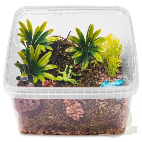 Terrario ReptiBox 19x19x12cm - przeźroczyste terrarium faunarium Terrario ReptiBox 19x19x12cm - przeźroczyste terrarium faunarium
