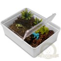 Terrario Reptiland White 25x19x7,5cm - białe terrarium faunarium