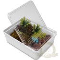 Terrario Reptiland White 25x19x7,5cm - białe terrarium faunarium