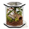 Terrario Spiders Tube Big150 - terrarium akrylowe