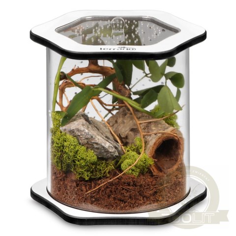 Terrario Spiders Tube Big150 - terrarium akrylowe Terrario Spiders Tube Big150 - terrarium akrylowe