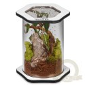 Terrario Spiders Tube Med150 - terrarium akrylowe