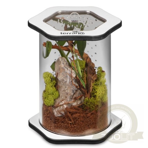 Terrario Spiders Tube Med150 - terrarium akrylowe