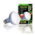 EXO TERRA Daylight Basking Spot 75W (żarówka grzewcza neodymowa)