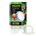 EXO TERRA Daylight Basking Spot 75W (żarówka grzewcza neodymowa)