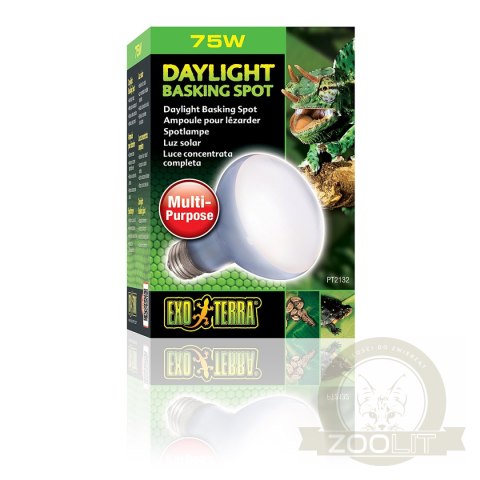 EXO TERRA Daylight Basking Spot 75W (żarówka grzewcza neodymowa) EXO TERRA Daylight Basking Spot 75W (żarówka grzewcza neodymowa)