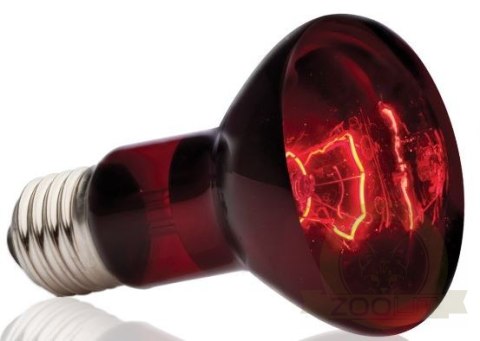 EXO TERRA Podczerwona żarówka grzewcza 50W EXO TERRA Podczerwona żarówka grzewcza 50W