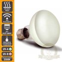 Komodo Basking Spot 50W - żarówka grzewcza 3w1