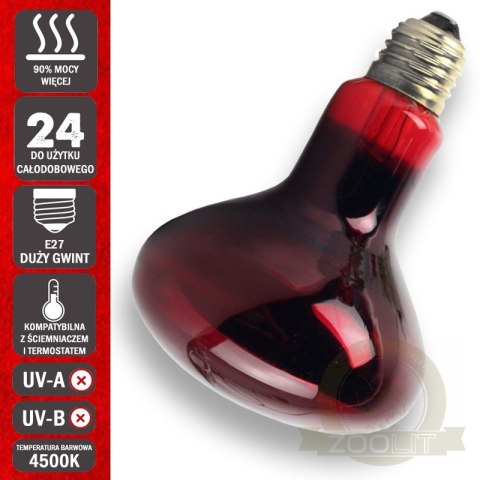 Komodo Infrared 75W - żarówka grzewcza podczerwona Komodo Infrared 75W - żarówka grzewcza podczerwona