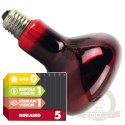 Komodo Infrared 75W - żarówka grzewcza podczerwona