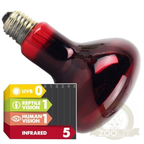 Komodo Infrared 75W - żarówka grzewcza podczerwona Komodo Infrared 75W - żarówka grzewcza podczerwona