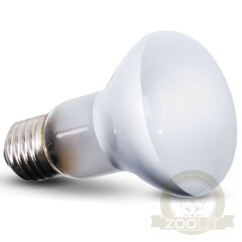 Repti-Zoo Beam Spot 150W - żarówka grzewcza punktowa Repti-Zoo Beam Spot 150W - żarówka grzewcza punktowa