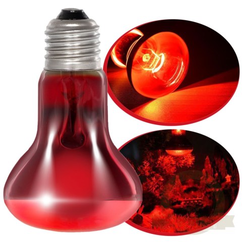 Repti-Zoo Infrared Basking Spot 50W - żarówka grzewcza podczerwona Repti-Zoo Infrared Basking Spot 50W - żarówka grzewcza podczerwona
