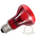 Repti-Zoo Infrared Basking Spot 50W - żarówka grzewcza podczerwona
