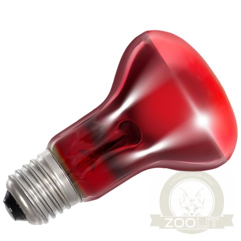 Repti-Zoo Infrared Basking Spot 50W - żarówka grzewcza podczerwona Repti-Zoo Infrared Basking Spot 50W - żarówka grzewcza podczerwona