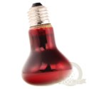 Repti-Zoo Infrared Heat 35W - żarówka grzewcza podczerwona