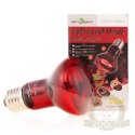 Repti-Zoo Infrared Heat 50W - żarówka grzewcza podczerwona