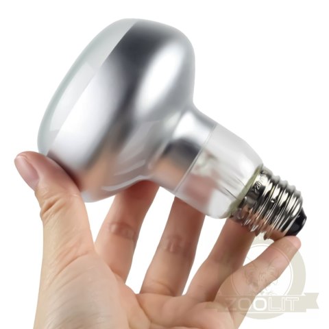 Repti-Zoo Intense Basking Spot 50W - żarówka grzewcza