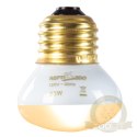 Repti-Zoo Mini Daylight Spot NANO 25W - żarówka grzewcza 2 sztuki