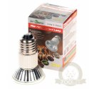 Repti-Zoo Mini Halogen Spot 20W - mały halogen grzewczy