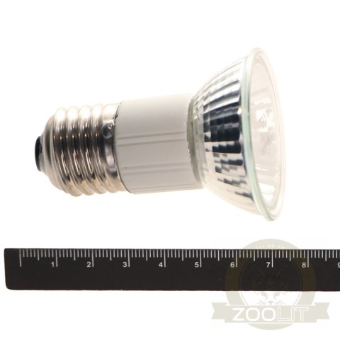 Repti-Zoo Mini Halogen Spot 20W - mały halogen grzewczy Repti-Zoo Mini Halogen Spot 20W - mały halogen grzewczy
