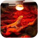 Repti-Zoo Mini Infrared Spot 25W NANO - żarówka grzewcza 2 sztuki