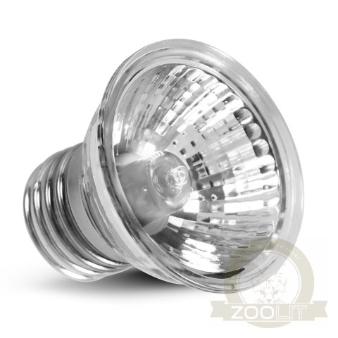Repti-Zoo Mini Infrared lamp 25W - mini halogen podczerwony Repti-Zoo Mini Infrared lamp 25W - mini halogen podczerwony