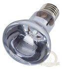 Repti-Zoo Neodymium Daylight 50W - żarówka grzewcza neodymowa