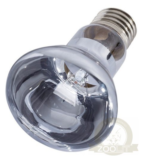 Repti-Zoo Neodymium Daylight 50W - żarówka grzewcza neodymowa