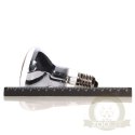 Repti-Zoo Neodymium Daylight 50W - żarówka grzewcza neodymowa
