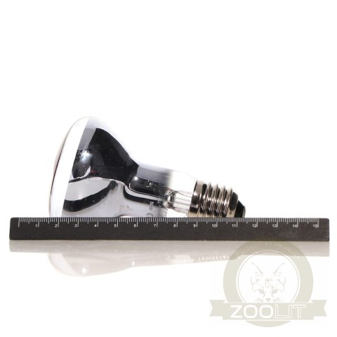 Repti-Zoo Neodymium Daylight 50W - żarówka grzewcza neodymowa