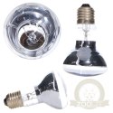 Repti-Zoo Neodymium Daylight 50W - żarówka grzewcza neodymowa