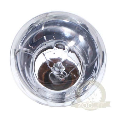 Repti-Zoo Neodymium Daylight 50W - żarówka grzewcza neodymowa