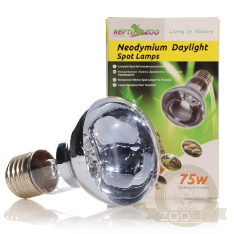 Repti-Zoo Neodymium Daylight 75W - żarówka grzewcza neodymowa Repti-Zoo Neodymium Daylight 75W - żarówka grzewcza neodymowa