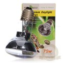 Repti-Zoo Neodymium Daylight 75W - żarówka grzewcza neodymowa