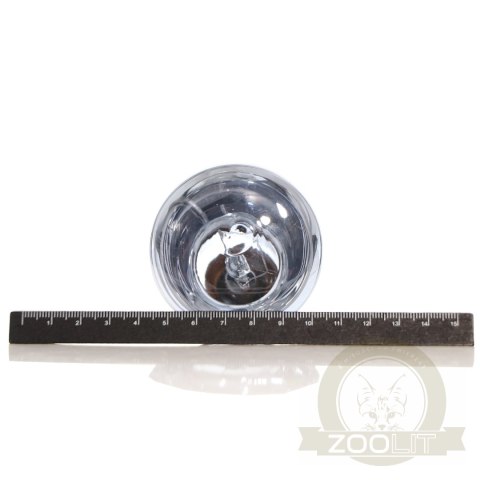 Repti-Zoo Neodymium Daylight 75W - żarówka grzewcza neodymowa Repti-Zoo Neodymium Daylight 75W - żarówka grzewcza neodymowa