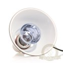 Repti-Zoo Neodymium Daylight 75W - żarówka grzewcza neodymowa