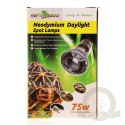 Repti-Zoo Neodymium Daylight 75W - żarówka grzewcza neodymowa