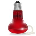 Resun Infrared Spot Lamp 25W - żarówka podczerwona
