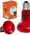 Resun Infrared Spot Lamp 50W - żarówka podczerwona